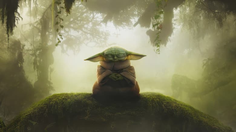 The Mandalorian and Grogu — 5