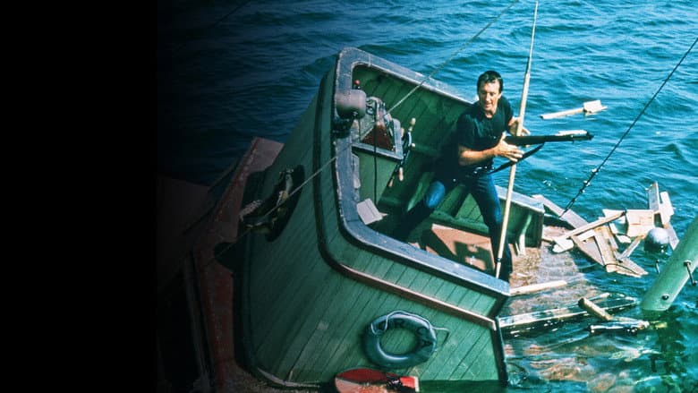 Jaws — 6