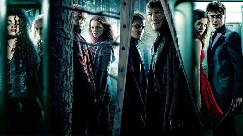 Garri Potter va O'lim sovg'alari: 1-qism — 6