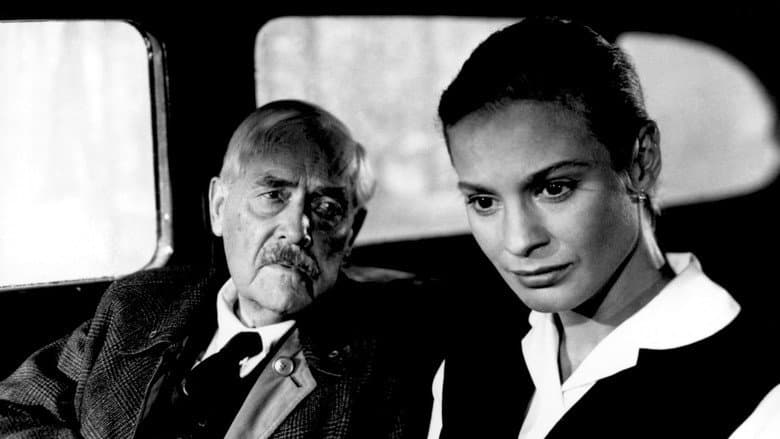 Wild Strawberries — 6