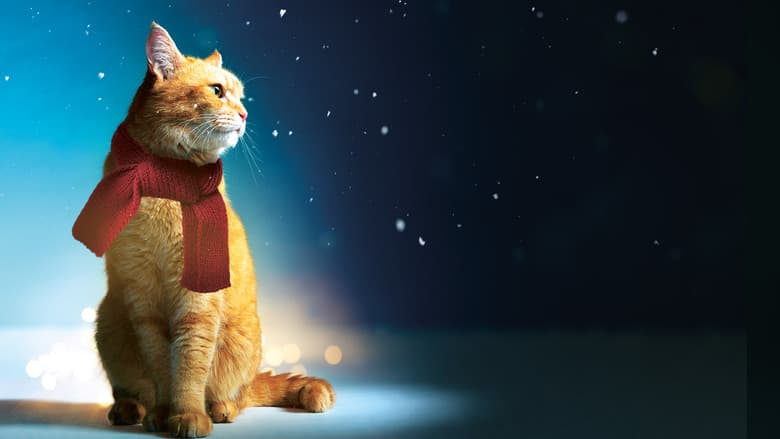 A Street Cat Named Bob — 3