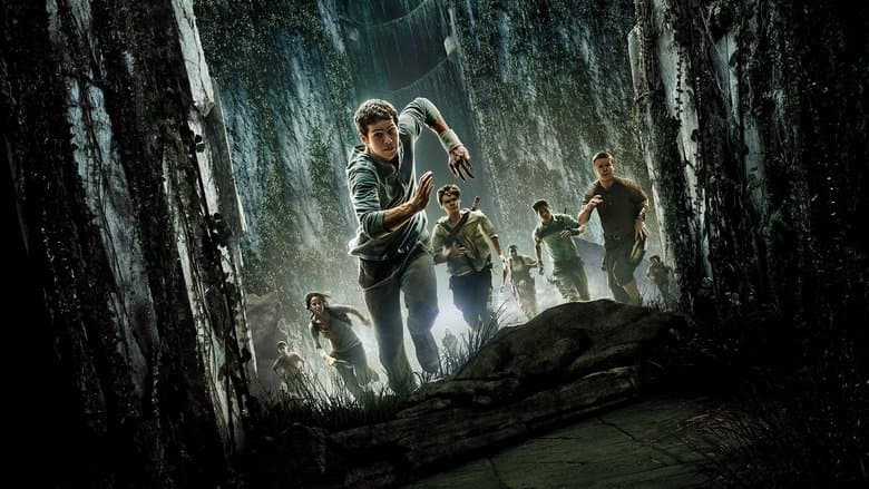 The Maze Runner — 1