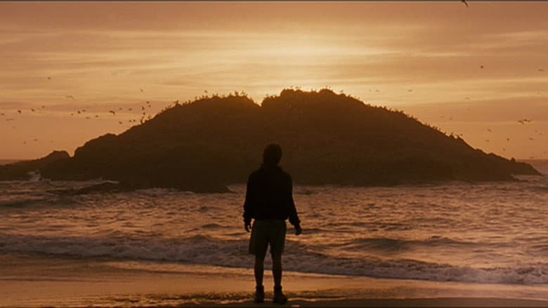 Into the Wild — 2