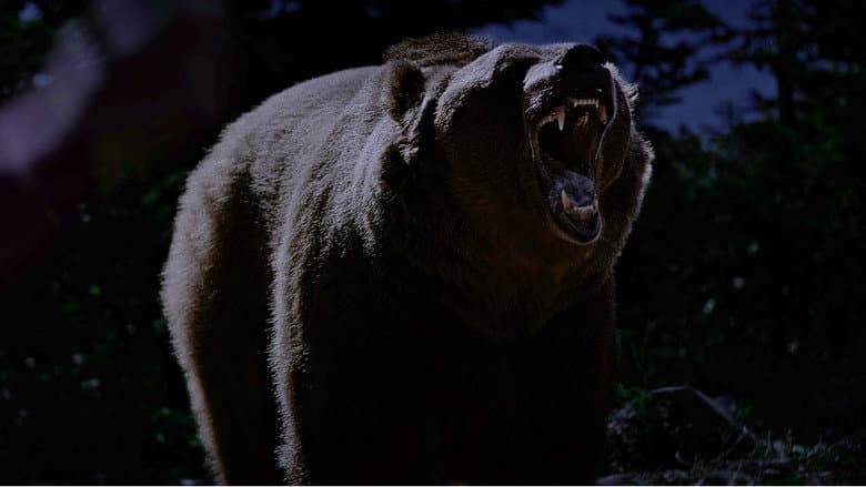 Ночь с гризли — 5