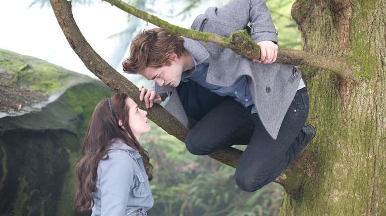 Twilight — 4