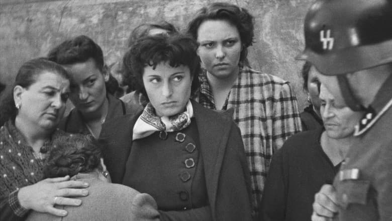 Rome, Open City — 5
