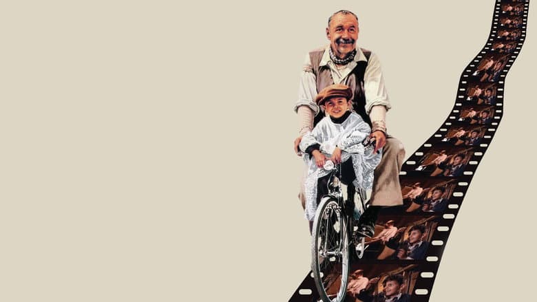 Новый кинотеатр «Парадизо» — 3