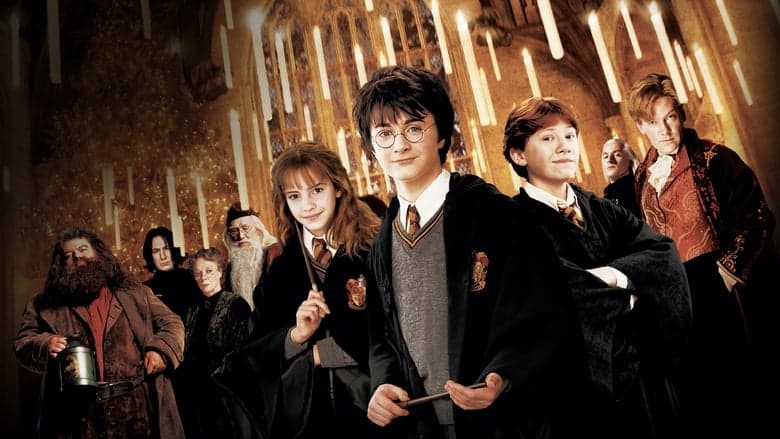 Harry Potter and the Chamber of Secrets — 1