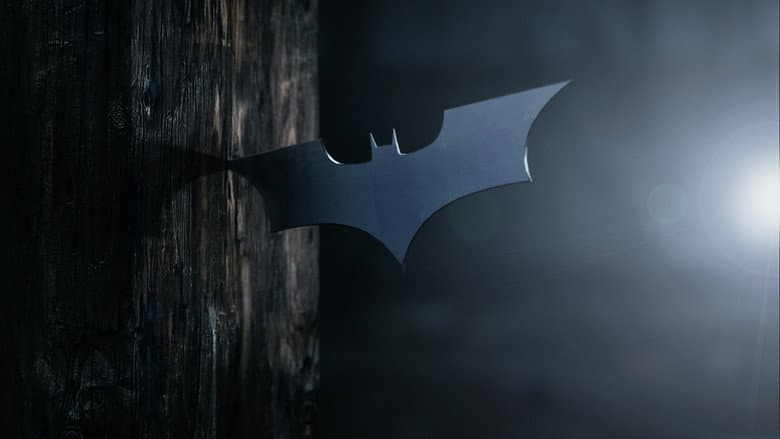 Batman Begins — 3